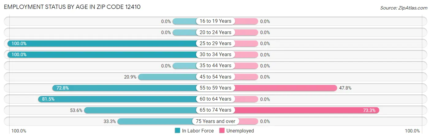 Employment Status by Age in Zip Code 12410