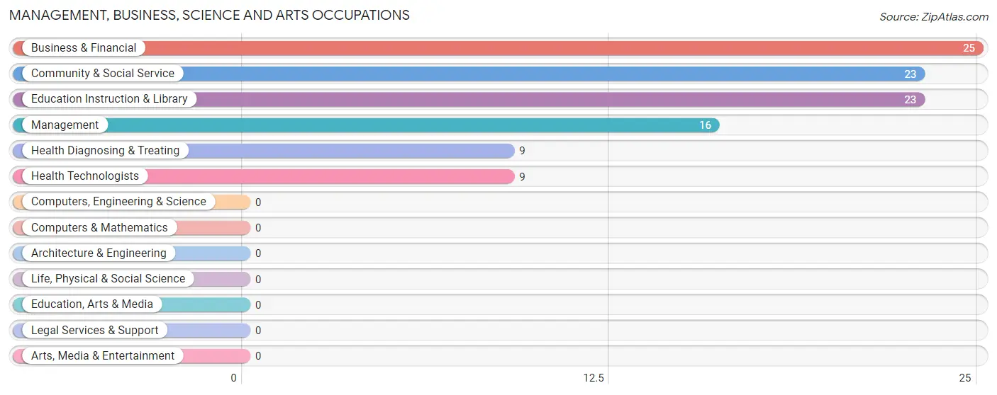 Management, Business, Science and Arts Occupations in Zip Code 12411