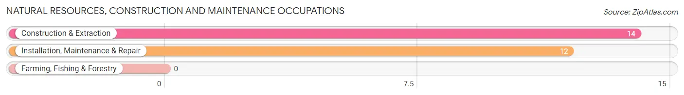 Natural Resources, Construction and Maintenance Occupations in Zip Code 12412