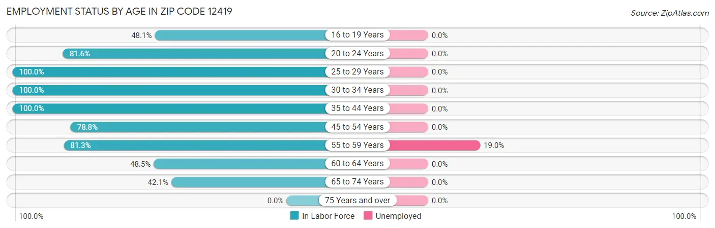 Employment Status by Age in Zip Code 12419