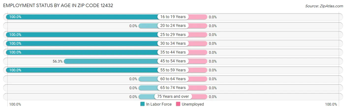 Employment Status by Age in Zip Code 12432