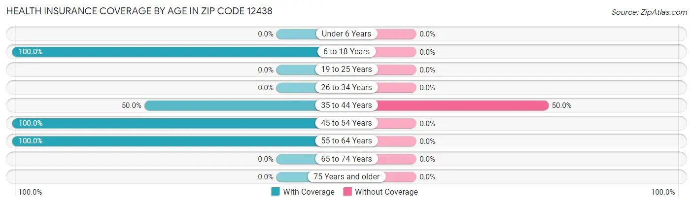 Health Insurance Coverage by Age in Zip Code 12438