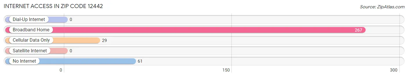 Internet Access in Zip Code 12442