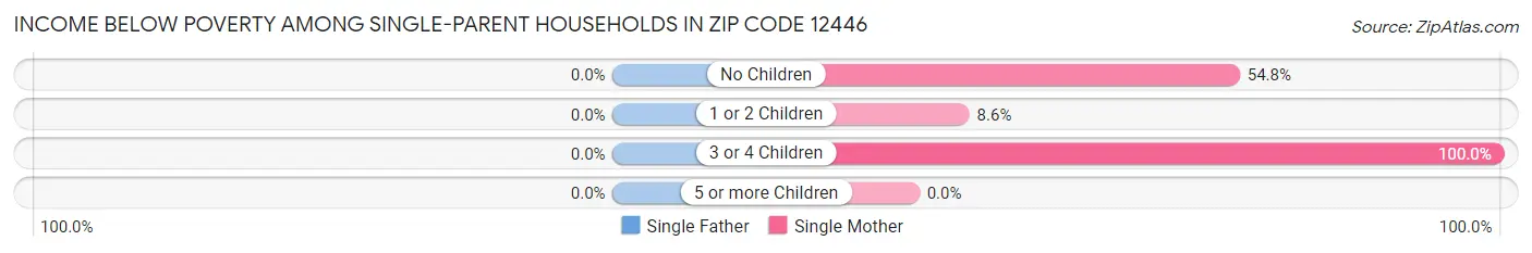 Income Below Poverty Among Single-Parent Households in Zip Code 12446