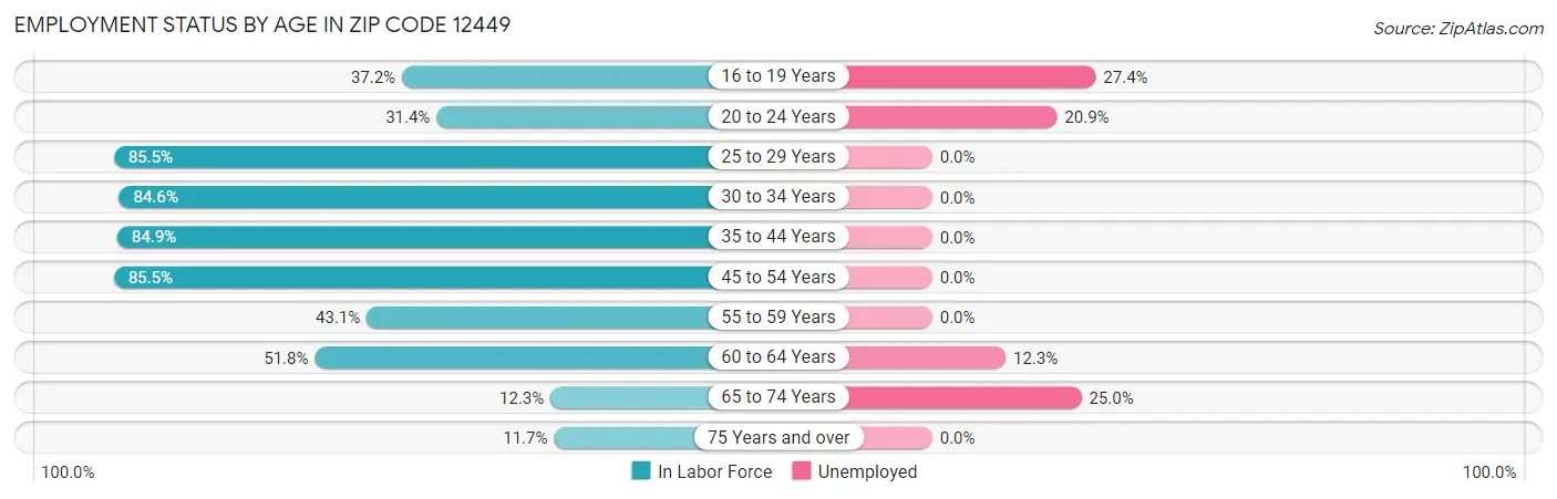 Employment Status by Age in Zip Code 12449