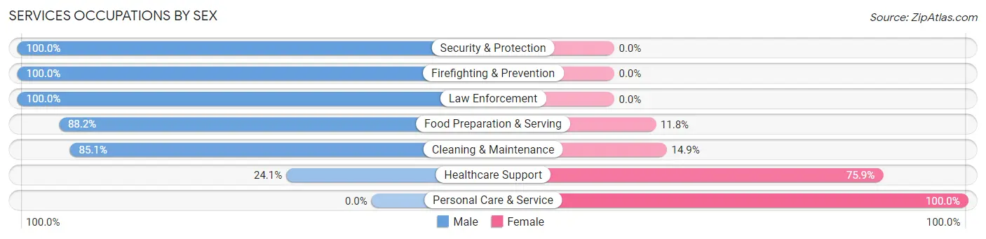 Services Occupations by Sex in Zip Code 12449