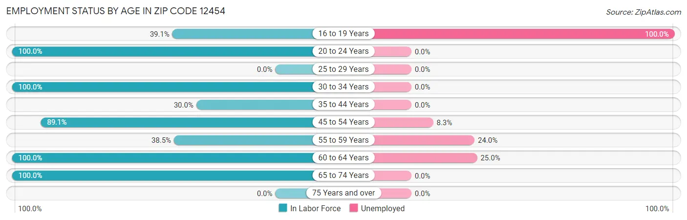 Employment Status by Age in Zip Code 12454
