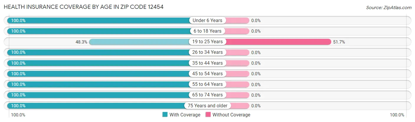 Health Insurance Coverage by Age in Zip Code 12454