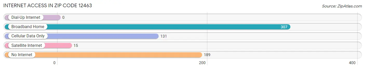 Internet Access in Zip Code 12463