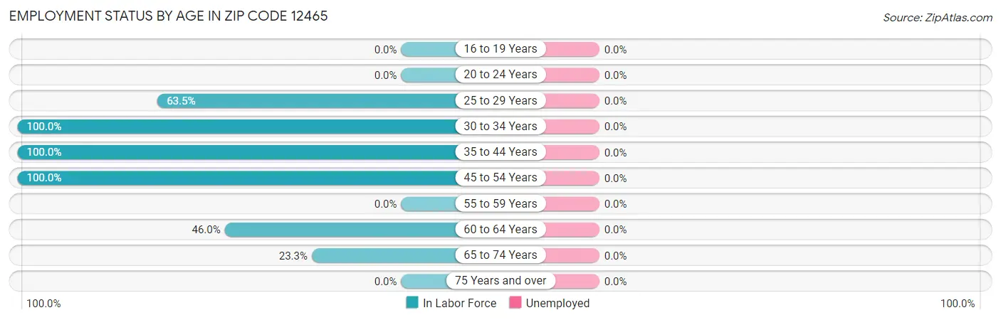 Employment Status by Age in Zip Code 12465