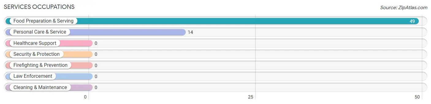 Services Occupations in Zip Code 12470