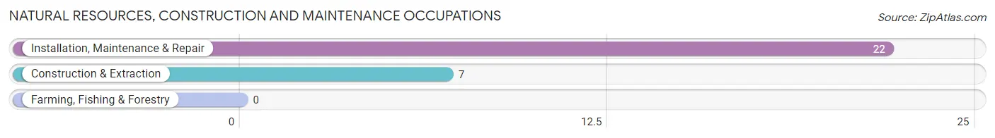 Natural Resources, Construction and Maintenance Occupations in Zip Code 12472