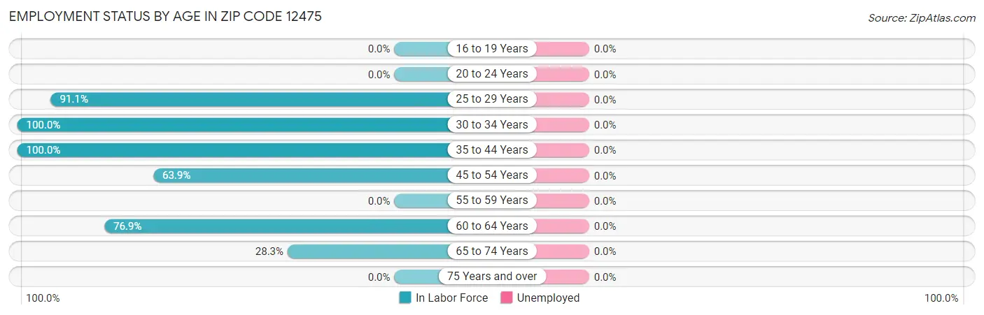 Employment Status by Age in Zip Code 12475