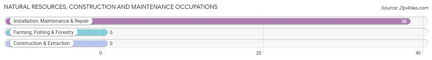 Natural Resources, Construction and Maintenance Occupations in Zip Code 12475