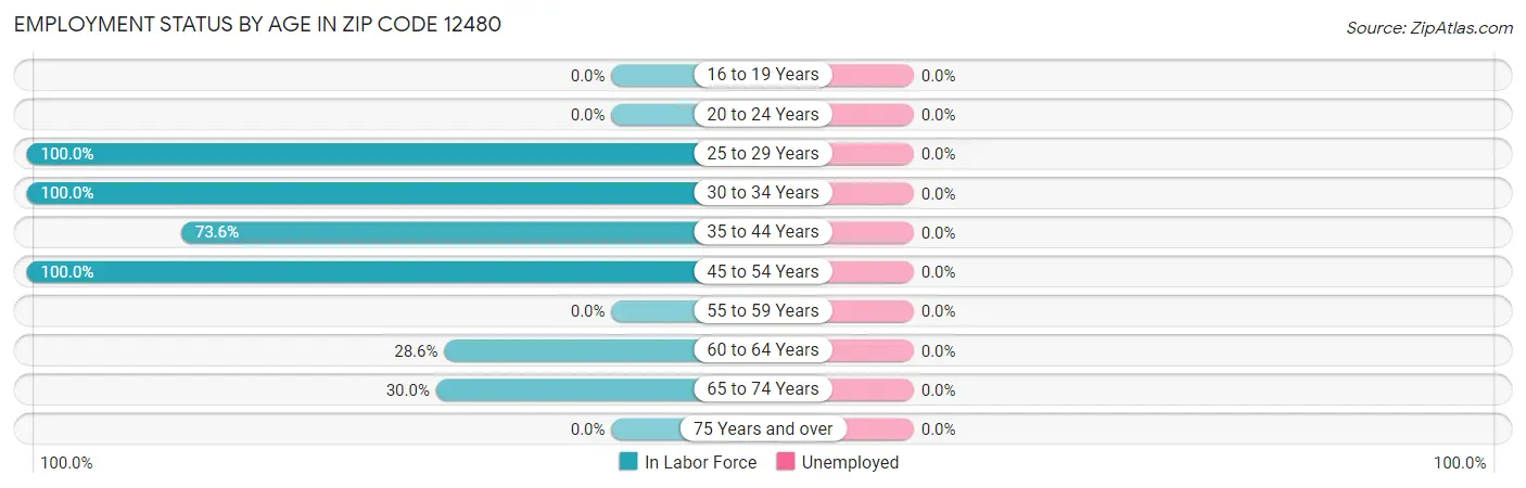 Employment Status by Age in Zip Code 12480