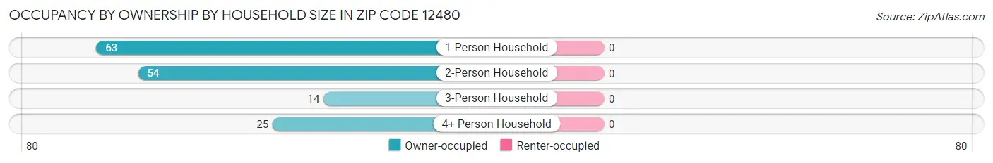Occupancy by Ownership by Household Size in Zip Code 12480