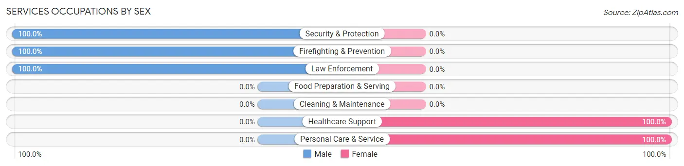 Services Occupations by Sex in Zip Code 12480