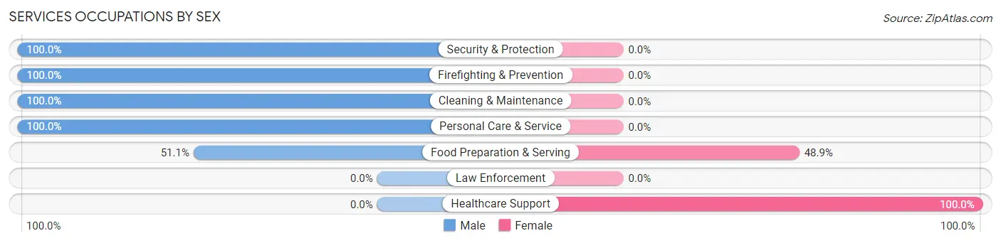 Services Occupations by Sex in Zip Code 12485