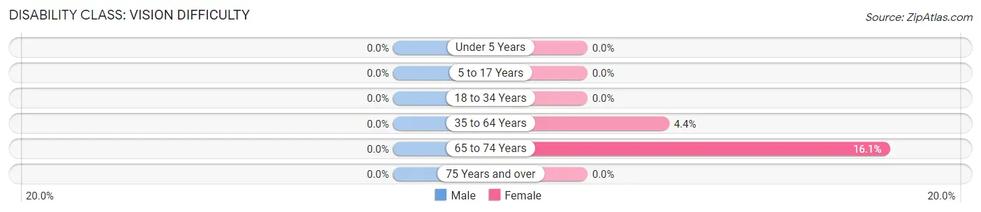 Disability in Zip Code 12501: <span>Vision Difficulty</span>