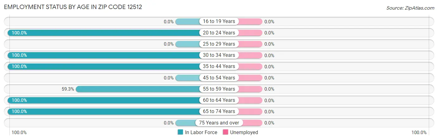 Employment Status by Age in Zip Code 12512