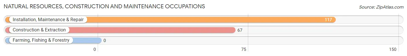 Natural Resources, Construction and Maintenance Occupations in Zip Code 12516