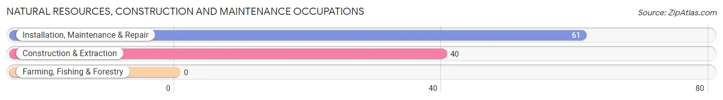 Natural Resources, Construction and Maintenance Occupations in Zip Code 12520