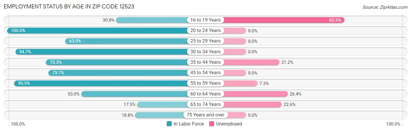 Employment Status by Age in Zip Code 12523