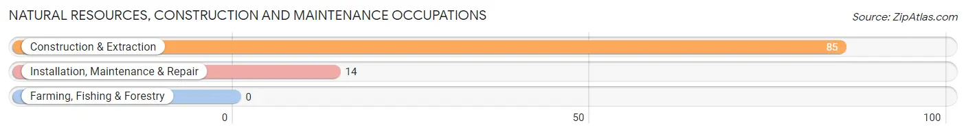 Natural Resources, Construction and Maintenance Occupations in Zip Code 12525