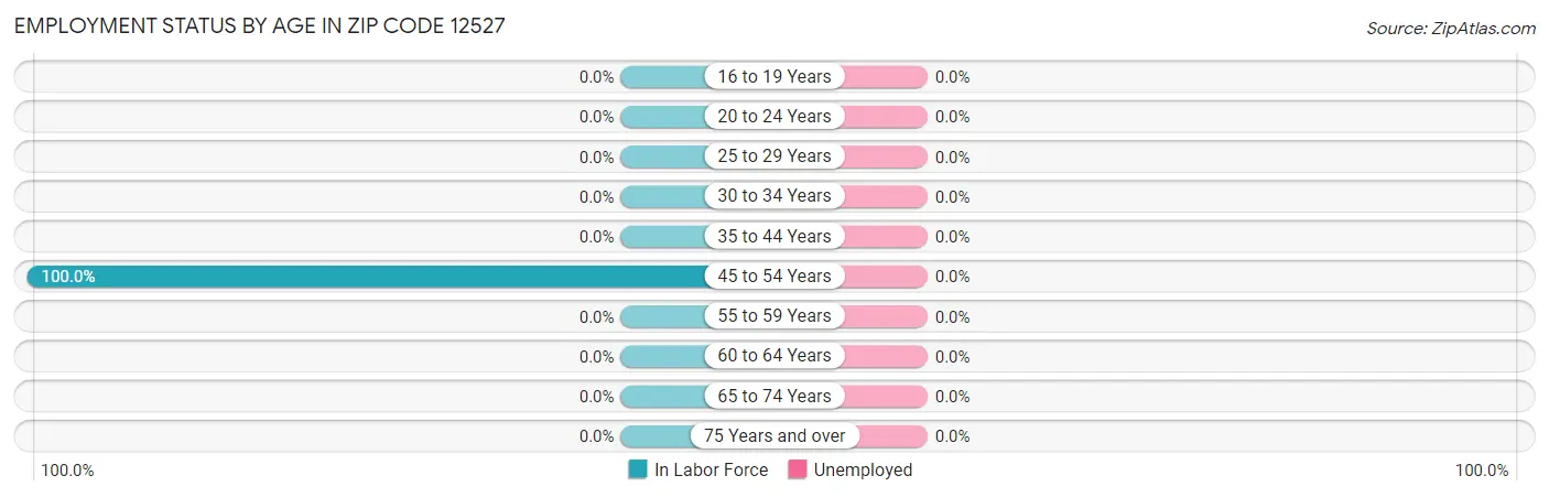 Employment Status by Age in Zip Code 12527