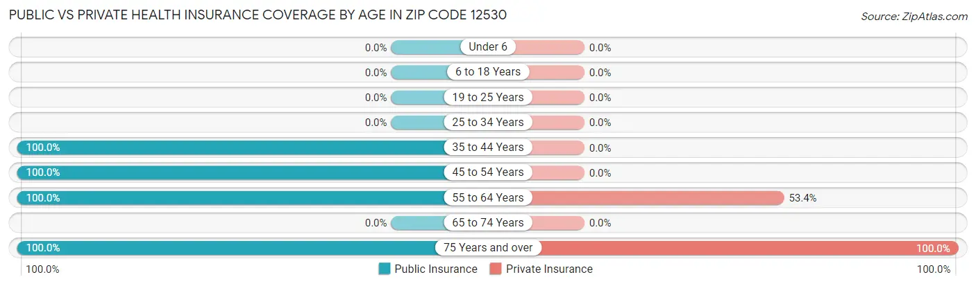 Public vs Private Health Insurance Coverage by Age in Zip Code 12530