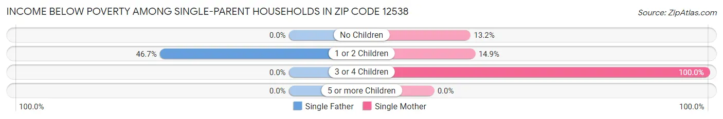 Income Below Poverty Among Single-Parent Households in Zip Code 12538