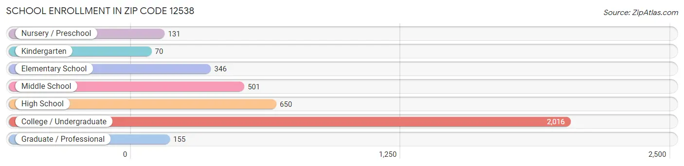 School Enrollment in Zip Code 12538