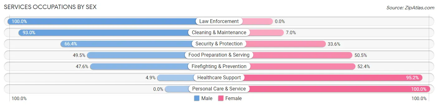 Services Occupations by Sex in Zip Code 12538