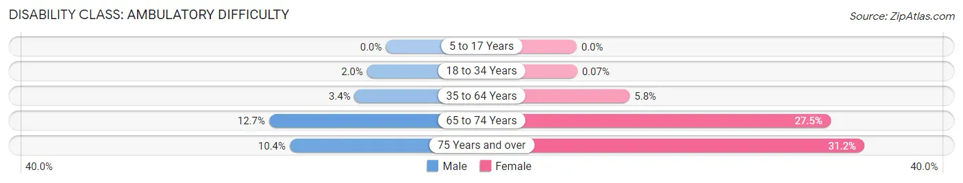 Disability in Zip Code 12553: <span>Ambulatory Difficulty</span>