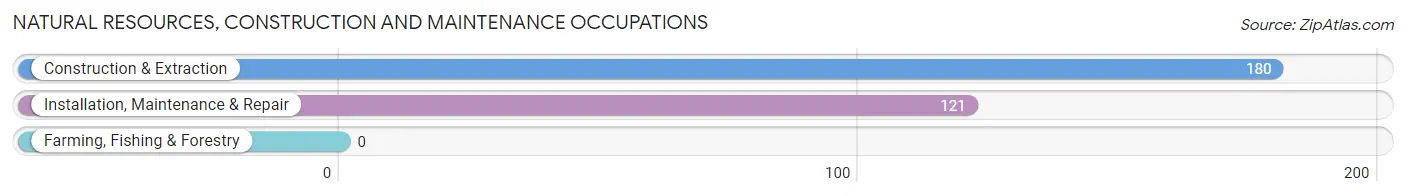 Natural Resources, Construction and Maintenance Occupations in Zip Code 12561