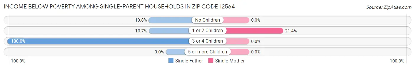 Income Below Poverty Among Single-Parent Households in Zip Code 12564