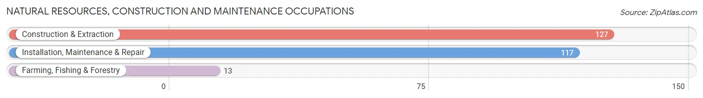 Natural Resources, Construction and Maintenance Occupations in Zip Code 12570