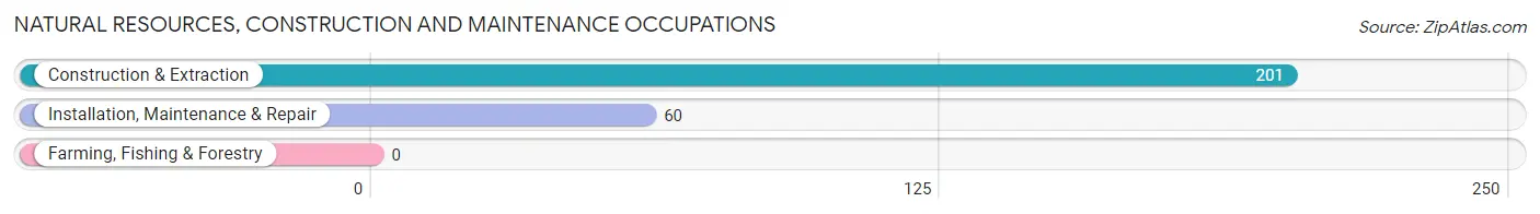 Natural Resources, Construction and Maintenance Occupations in Zip Code 12572