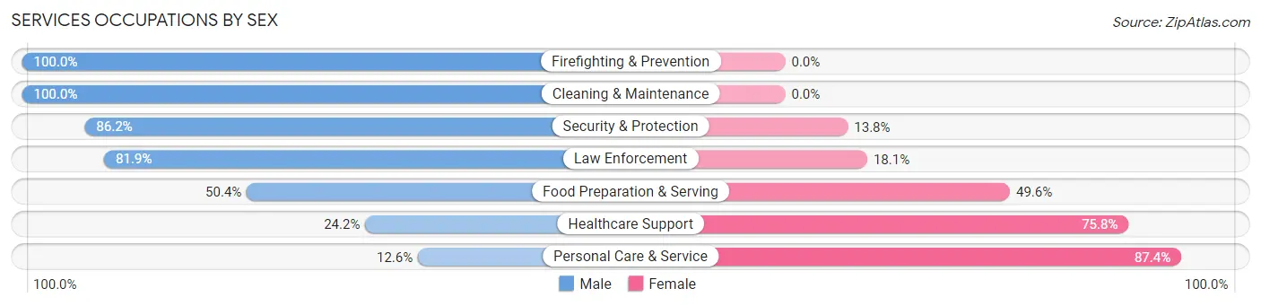 Services Occupations by Sex in Zip Code 12589