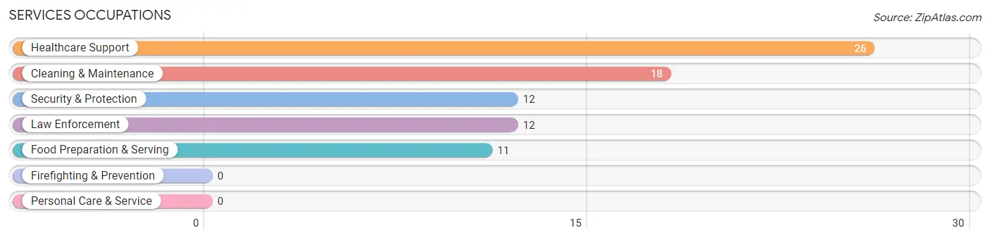 Services Occupations in Zip Code 12719