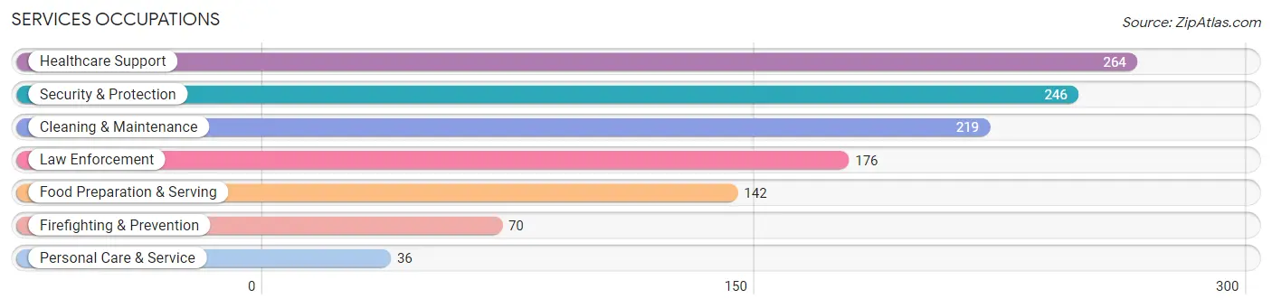 Services Occupations in Zip Code 12721