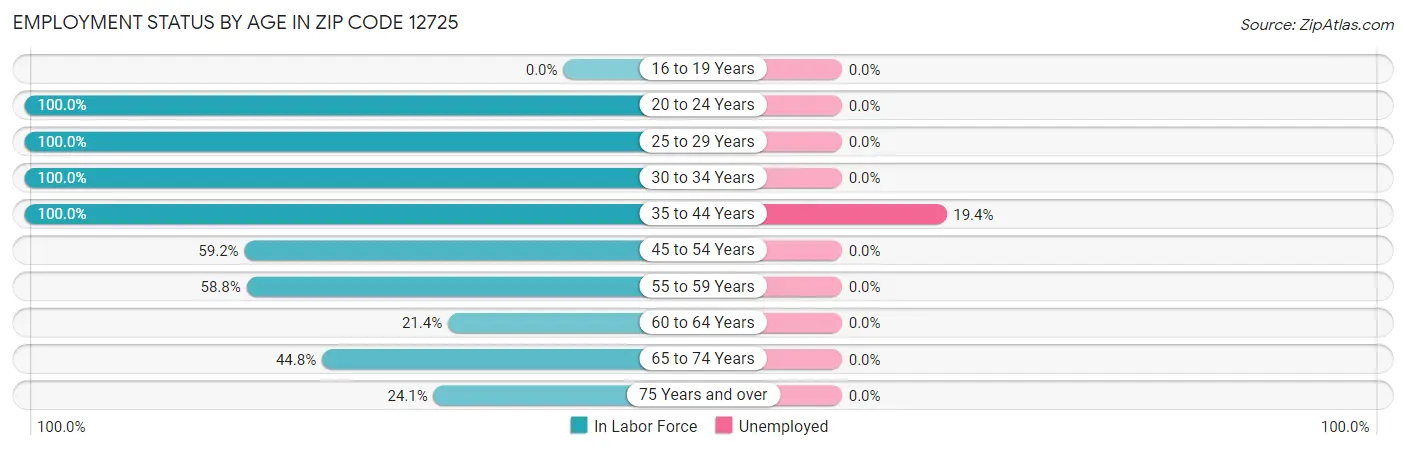 Employment Status by Age in Zip Code 12725