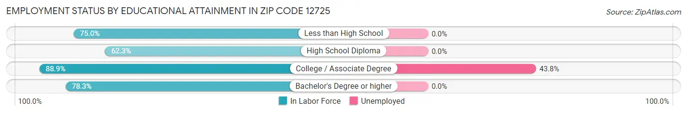 Employment Status by Educational Attainment in Zip Code 12725