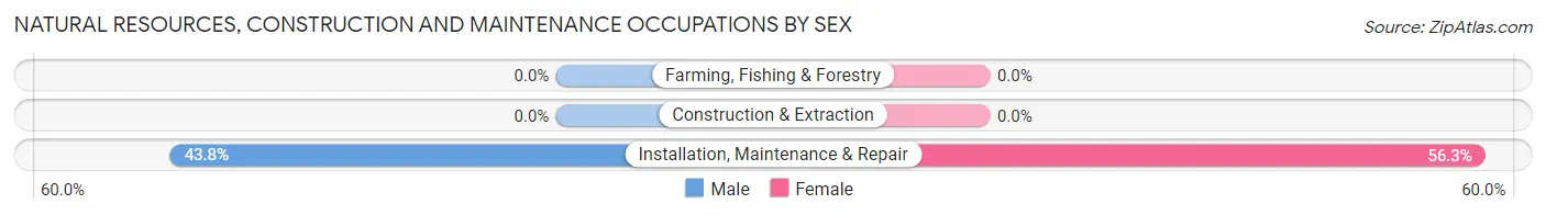 Natural Resources, Construction and Maintenance Occupations by Sex in Zip Code 12725