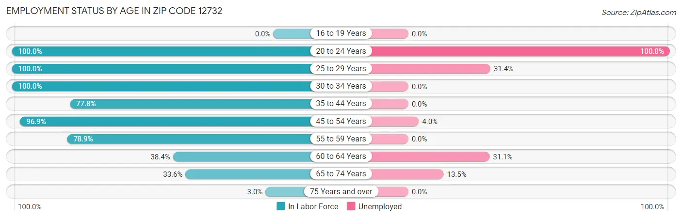Employment Status by Age in Zip Code 12732