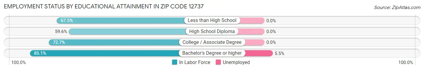 Employment Status by Educational Attainment in Zip Code 12737