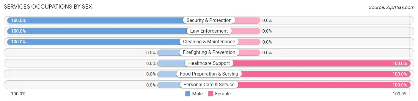 Services Occupations by Sex in Zip Code 12737