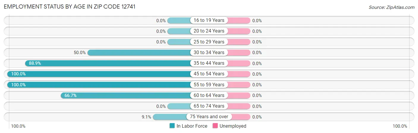 Employment Status by Age in Zip Code 12741