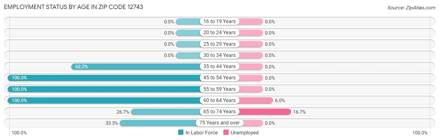 Employment Status by Age in Zip Code 12743
