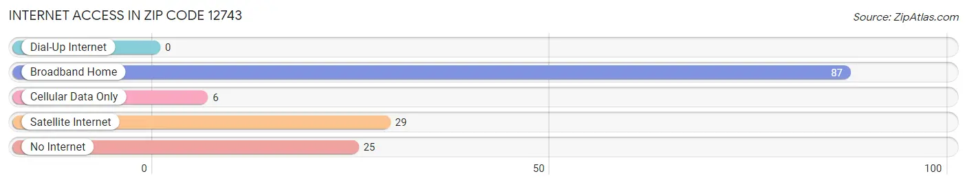 Internet Access in Zip Code 12743